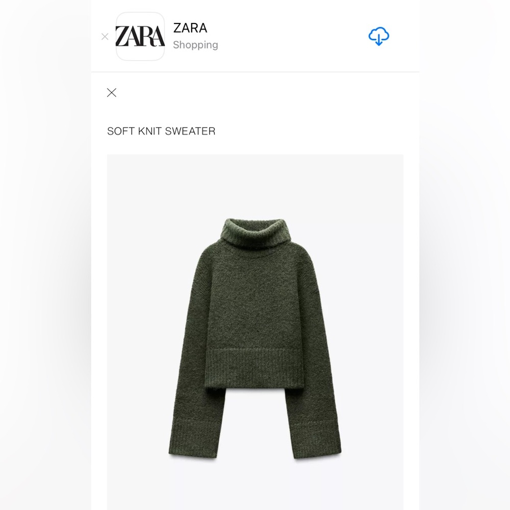 Like New Zara Olive Green Chunky Turtleneck Sweater